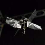 DelFly Nimble in hovering flight. Credits: Henri Werij, TU Delft.