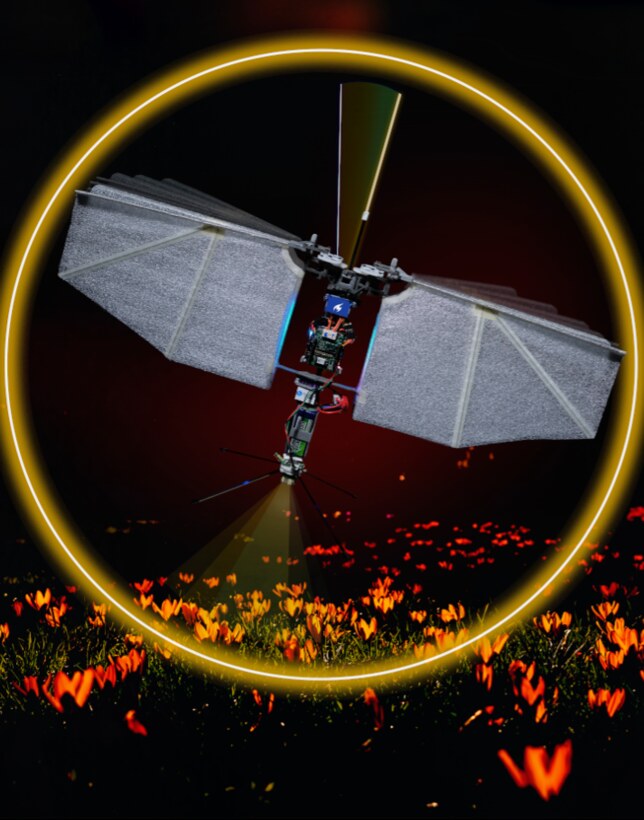 Flapping-wing robot in a golden ring above a field of flowers, from the 2022 Nature paper